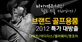 �귣�� ������ǰ 2012 Ư�� �����