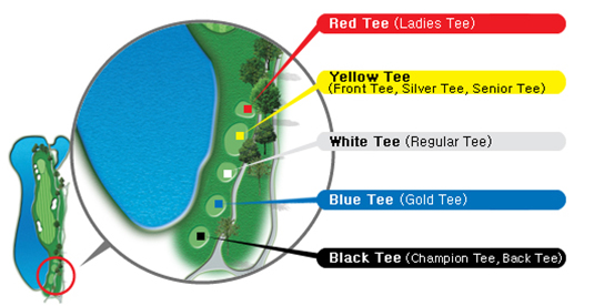 Red Tee(Ladies Tee) Yellow Teee(Front Tee,Sliver Tee, Senior Tee) White Teee(Regular Tee) Blue Tee(Gold Tee) Black Teee(Champion Tee, Back Tee)